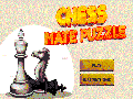 Chess Mate Puzzle