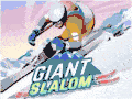 Giant Slalom