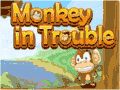 Monkey in Trouble